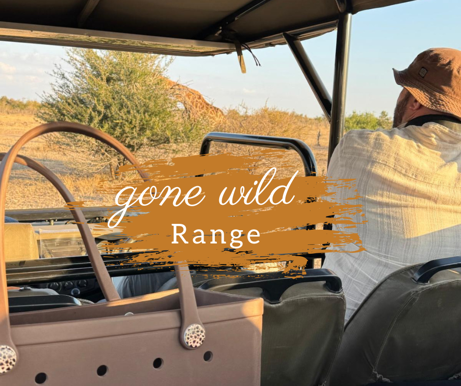 Gone Wild Claddy In Chocolate Brown set OF 3