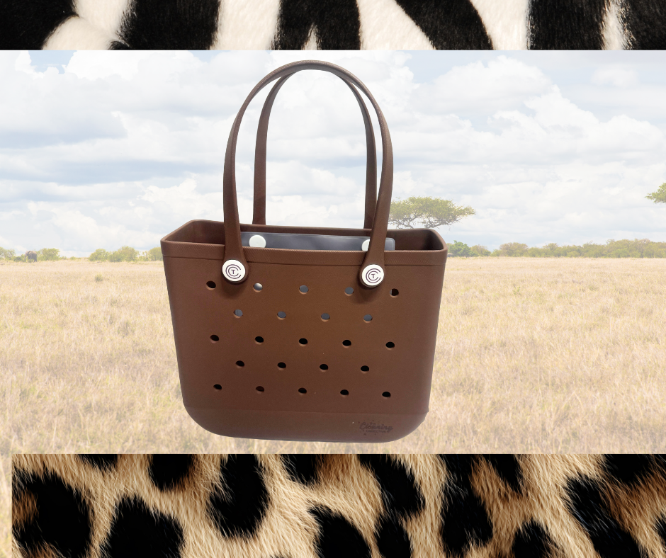 Gone Wild Claddy In Chocolate Brown set OF 3