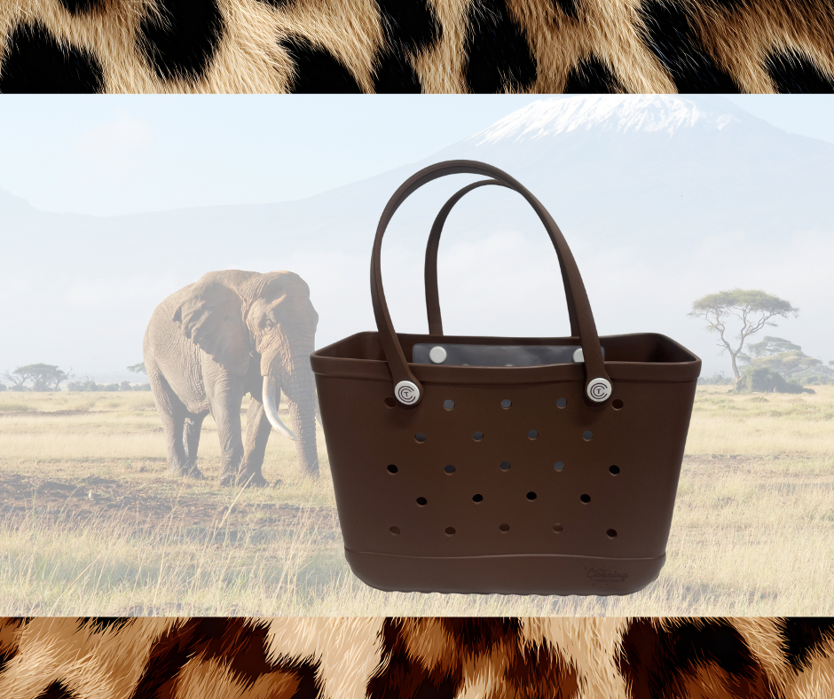 Gone Wild Claddy In Chocolate Brown set OF 3