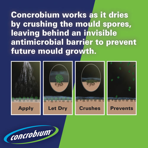 Concrobium Mould Cleaner Aerosol Spray