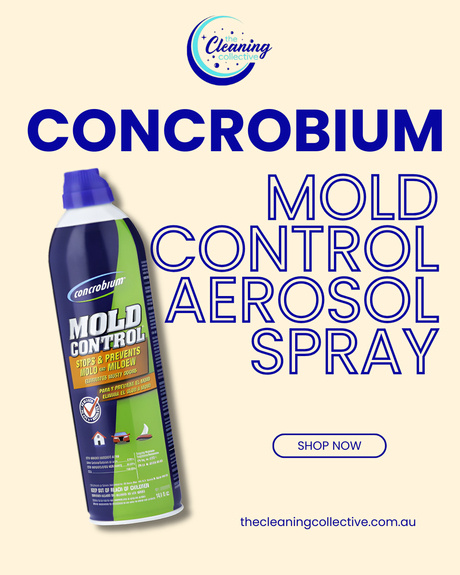 Reach the Unreachable: Why You Need Concrobium Mould Control Aerosol