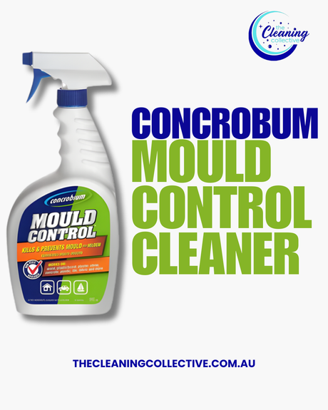 Stop Mould Dead in Its Tracks: Why Bleach Is Not the Answer