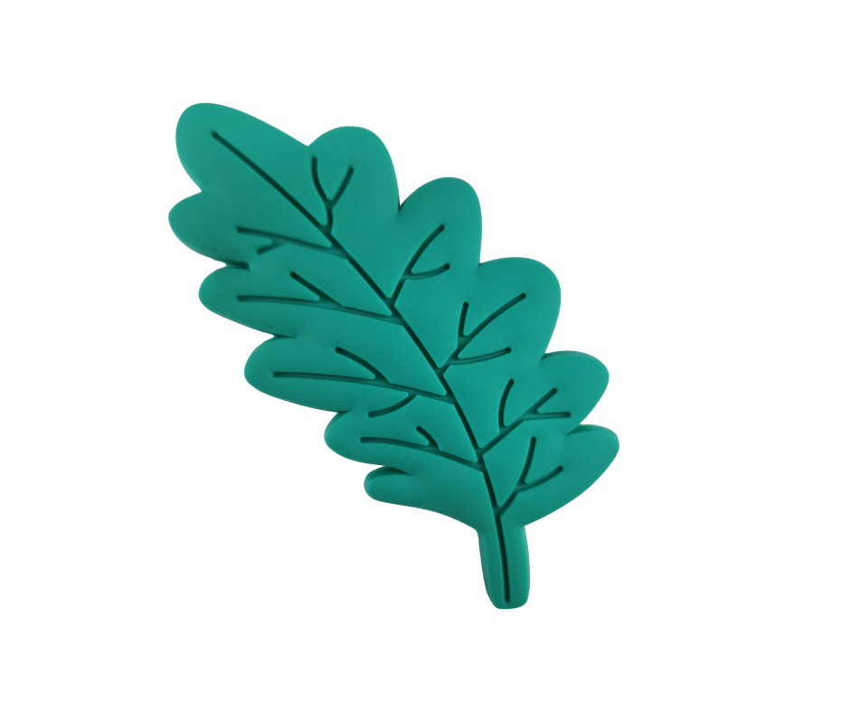 Top 5 Eco-Friendly Products for a Sustainable Home