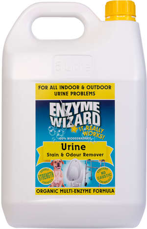 Urine Stain & Odour Remover