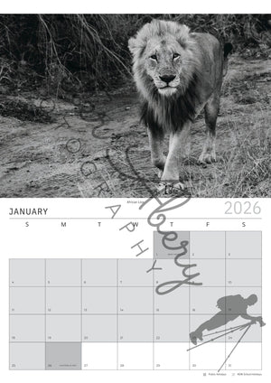 2026 Calendars