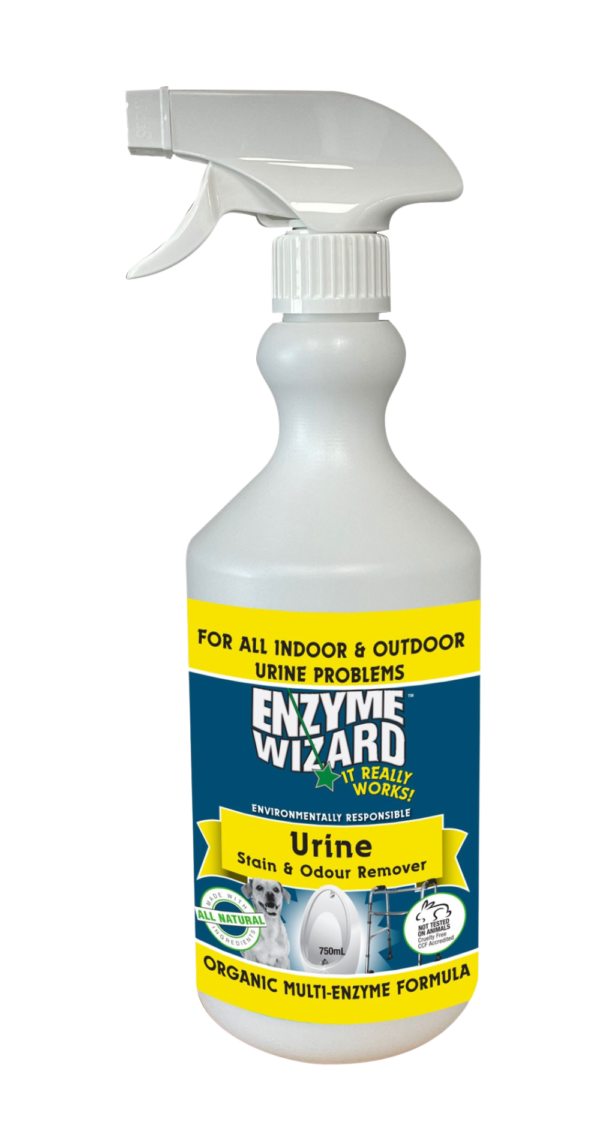 Urine Stain & Odour Remover