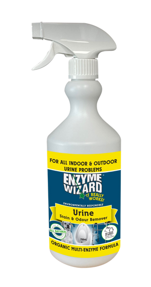 Urine Stain & Odour Remover